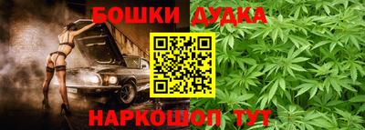 a pvp Новозыбков