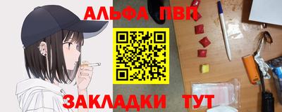 a pvp Новозыбков
