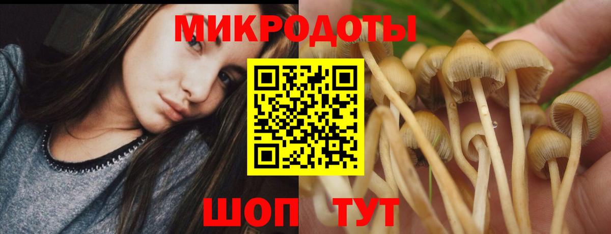 Псилоцибиновые грибы Magic Shrooms  Вход с VPN  Галлюциногенные грибы мухоморы  Советская Гавань 