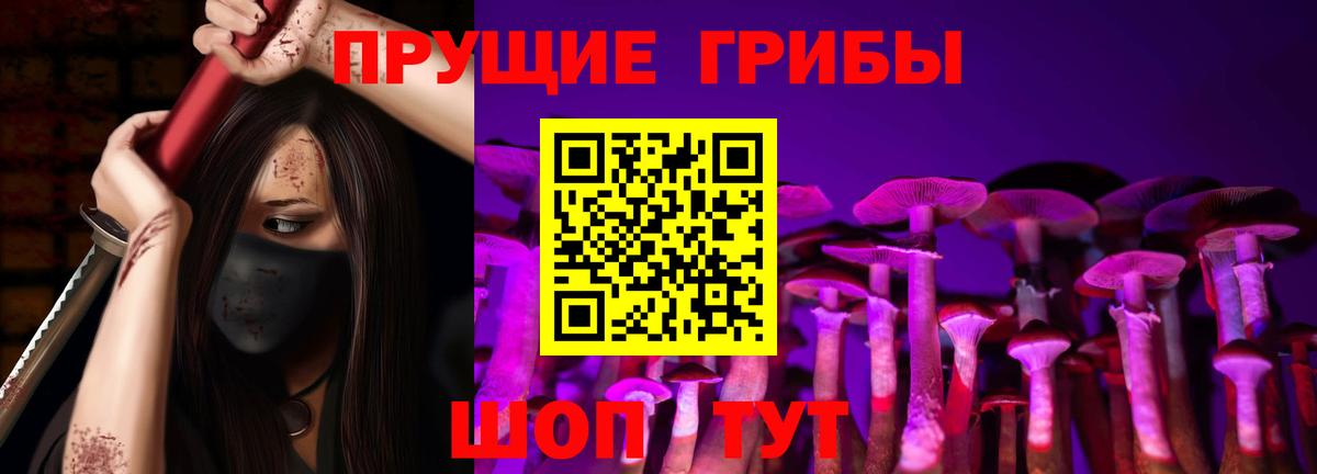 Галлюциногенные грибы GOLDEN TEACHER Советская Гавань